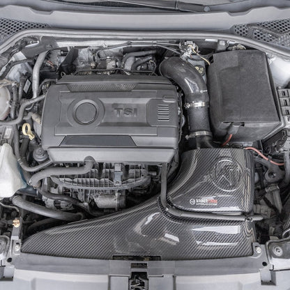 Carbon Lufteinlasssystem Ø76mm für Skoda Octavia RS 5E 2.0TSI